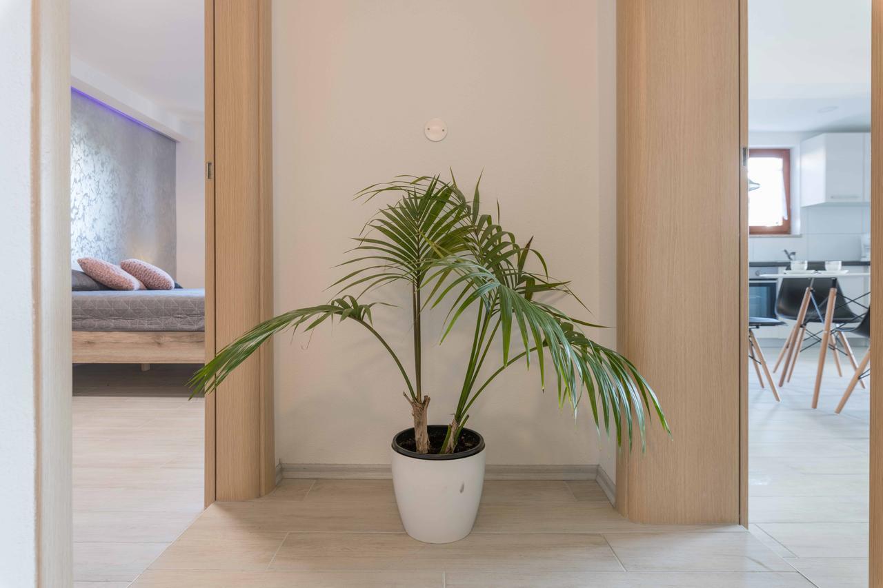 Apartments Villa Tre Marie 로비니 외부 사진